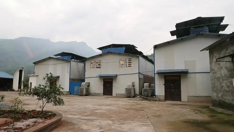 A mining farm powered by solar panels, showcasing the industry's shift towards renewable energy