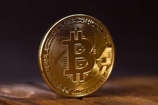 High-performance Bitcoin mining rig working in a data center