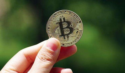 A close-up view of advanced Bitcoin mining rigs in operation, highlighting the hardware's role in driving BTC network security